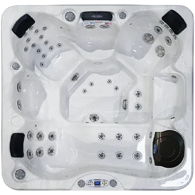 Avalon EC-849L hot tubs for sale in Indio