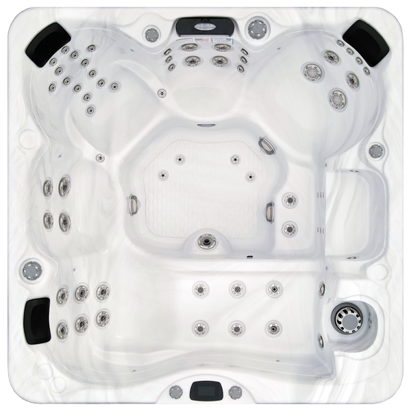 Avalon-X EC-867LX hot tubs for sale in Indio